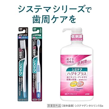 Amazon | 【Amazon.co.jp限定】 システマハブラシ ふつう